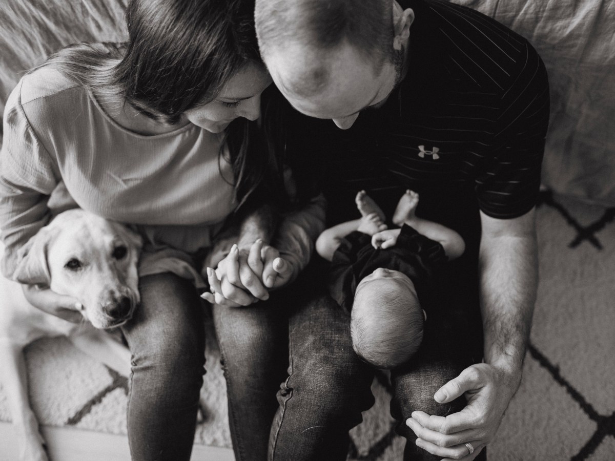 ROOTED- 2020 Reflection